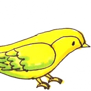 ʻ̳ ô