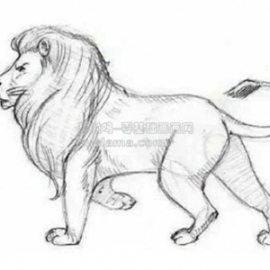 һͼΰLion(ʨ)ʻλ