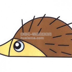 λhedgehog()̳ͯ