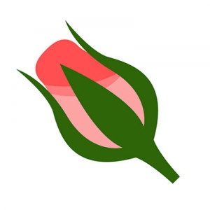 õ廨ټʻô