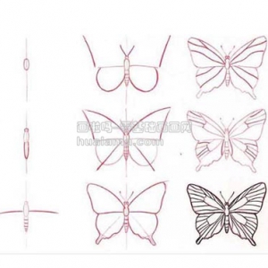 һͼѧửbutterfly ʻ̳