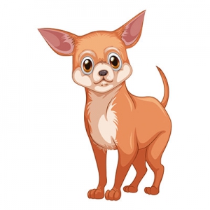  Chihuahua ʻ̳