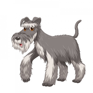 ôأ