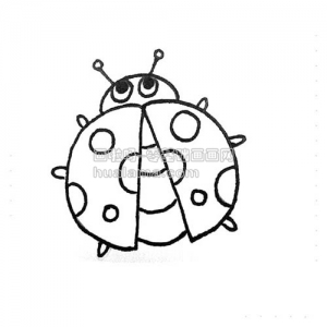 ʻưladybird ladybird ̳