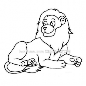 ׶ʻLion ʨӿǵ𻭱ʽѧϰŶ