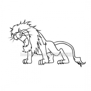 Lion ʨŭĻأ