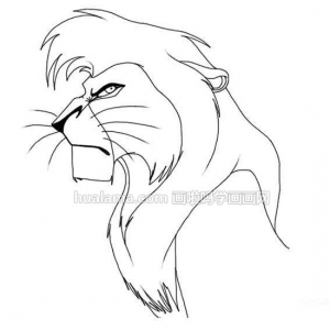 ƬLion ʨͯƬǵ𻭱ʽѧϰŶ
