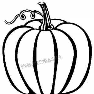 ٵϹϼʻƬ ҶڵһѧŶ