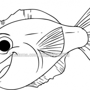 ɰ۾FishʻͼƬ