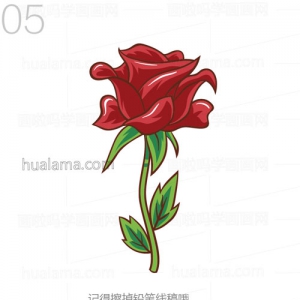 һ֦ĺõ廨ʻλ