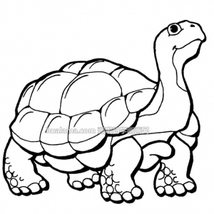 ӴڹʻͼƬ ϸأ