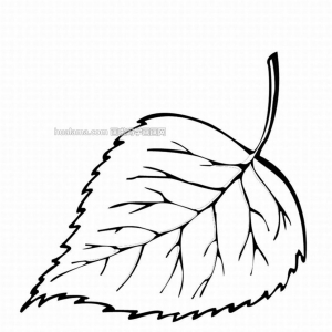 ҶʻͼƬ ϸأ