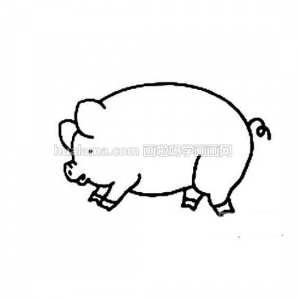 ׶Сļʻ ǵ𻭱ʽѧϰŶ