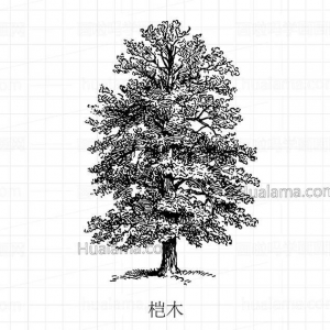 ľʻͼƬ