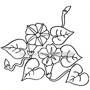 ǣţ ʻͼƬ  أ