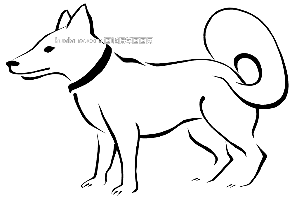 狼狗的简笔画法图片