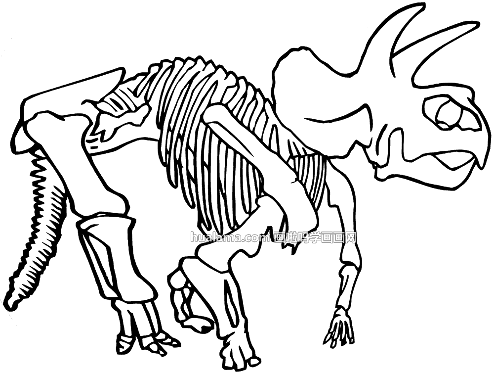 恐龙骨骼化石线描黑白简笔画