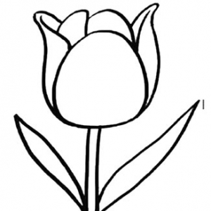 ʻ  