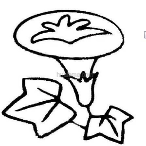 ɰǣţʻ  