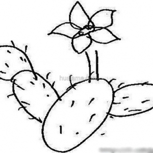źͺɻʻ ǵ𻭱ʽѧϰŶ