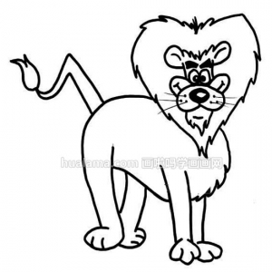 ʨLionʻ  