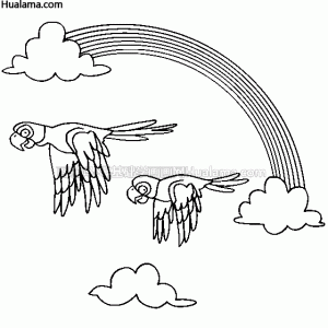 ڲʺĺڰ߸