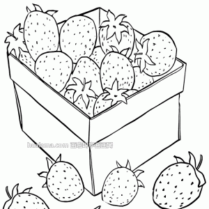 ʮڰݮʻͼƬ