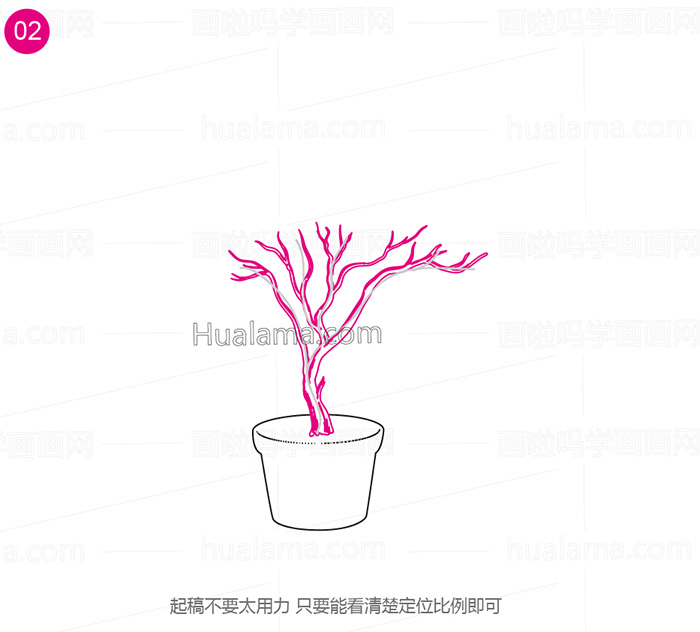花盆里七里香树的简笔画图片图解分享