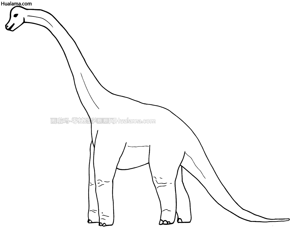 三年级怎么画恐龙线描图片